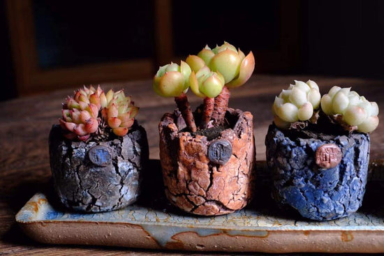 Handcrafted, handmade, hand pinched pot, planter, for plants and succulents, clay pot