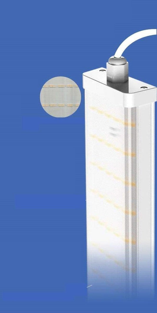 LED Grow light for Succulents