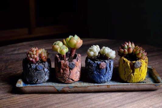 Handcrafted succulent pot - Mountain Rock series