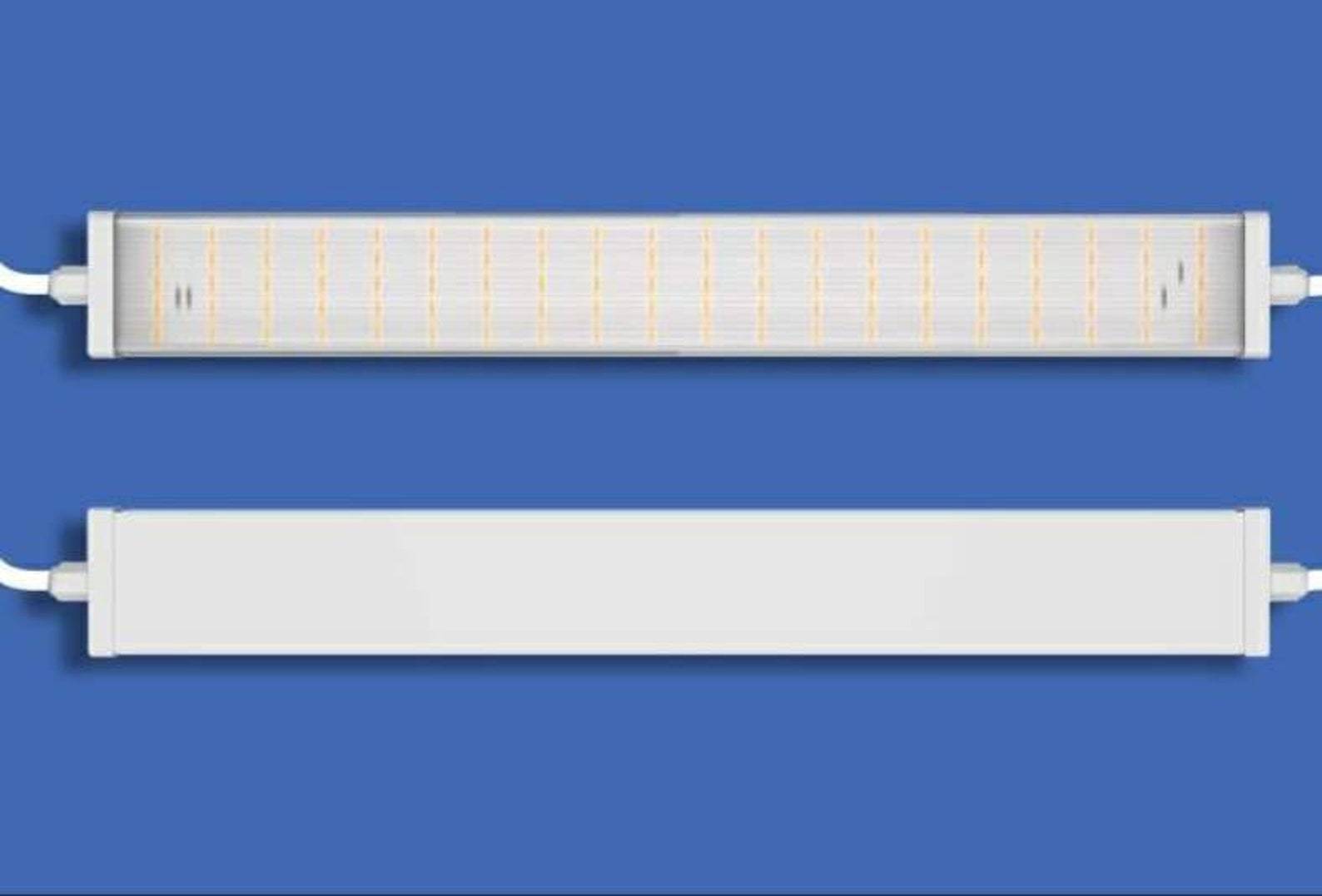 succulents fluorescent light LED Grow light for Succulents – Plant Temptation